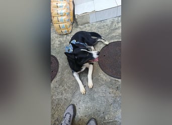 LOKI - ist bereit für Abenteuer