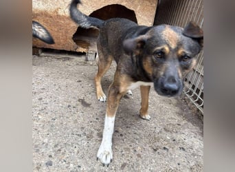 BRUNO - wo darf er glücklich werden?