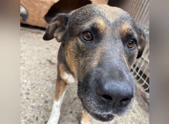 BRUNO - wo darf er glücklich werden?