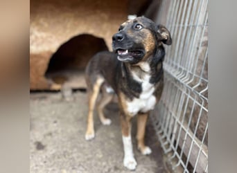 BRUNO - wo darf er glücklich werden?