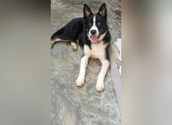 LOKI - ist bereit für Abenteuer