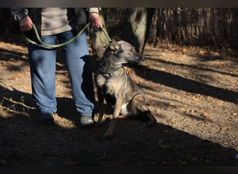 Anya, die Sensible Seele sucht einfühlsame Menschen