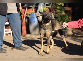 Anya, die Sensible Seele sucht einfühlsame Menschen