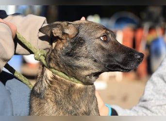 Anya, die Sensible Seele sucht einfühlsame Menschen