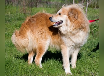 Rolex – anhänglich und aufgeschlossen