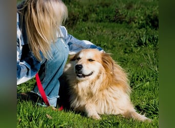 Rolex – anhänglich und aufgeschlossen