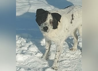 Sven - wer bringt Licht in mein Dunkel?