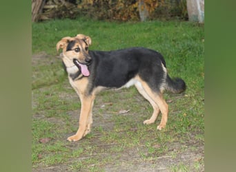 Lilly auf Familiensuche