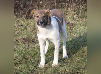 Nica - Eine muss wohl die Letzte sein