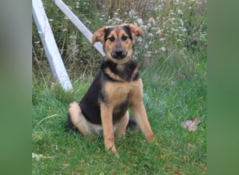 Lilly auf Familiensuche