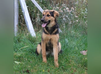 Lilly auf Familiensuche