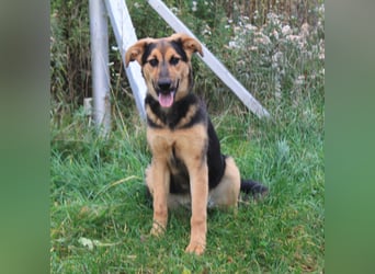 Lilly auf Familiensuche