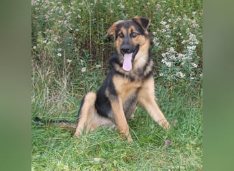 Lucky - Für-Immer-Glück gesucht