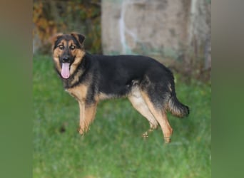 Lucky - Für-Immer-Glück gesucht