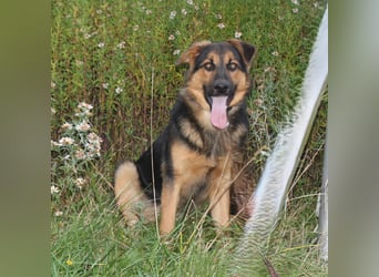 Lucky - Für-Immer-Glück gesucht