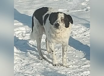 Sven - wer bringt Licht in mein Dunkel?