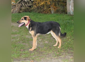 Lilly auf Familiensuche