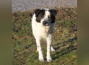 Sven - wer bringt Licht in mein Dunkel?