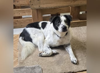 Sven - wer bringt Licht in mein Dunkel?