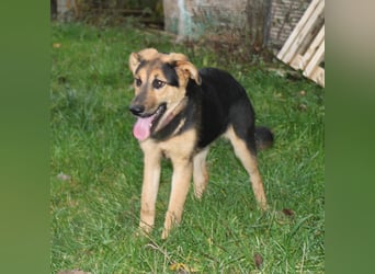 Lilly auf Familiensuche