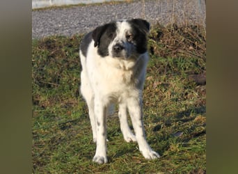 Sven - wer bringt Licht in mein Dunkel?