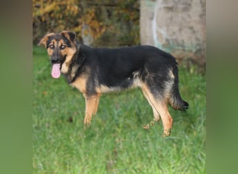 Lucky - Für-Immer-Glück gesucht