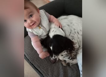 Wonky, benötigt ein neues Zuhause