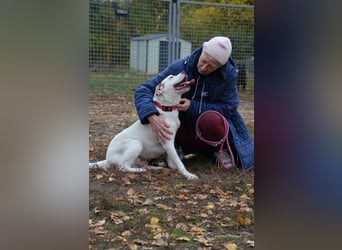 Sonnenschein Stella sucht ihre Menschen