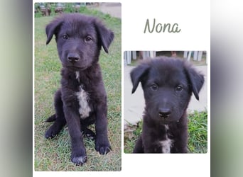 Nona