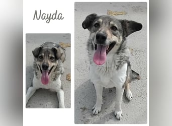 Nayda