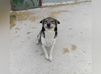 Nayda
