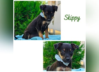 Skippy