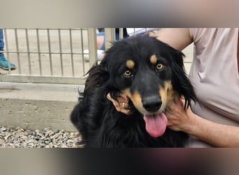 Mel -offen, menschenbezogen, aktiv