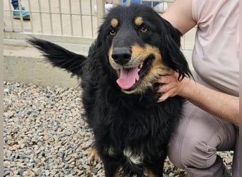 Mel -offen, menschenbezogen, aktiv