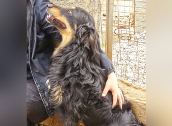 Mel -offen, menschenbezogen, aktiv