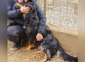 Mel -offen, menschenbezogen, aktiv