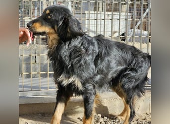 Mel -offen, menschenbezogen, aktiv