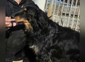 Mel -offen, menschenbezogen, aktiv