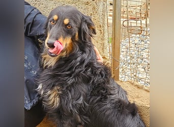 Mel -offen, menschenbezogen, aktiv