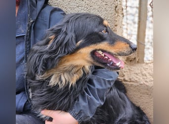 Mel -offen, menschenbezogen, aktiv