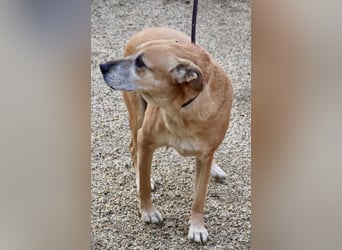 Hellen, sucht Altersruhesitz - NOTFALL -