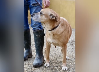 Hellen, sucht Altersruhesitz - NOTFALL -