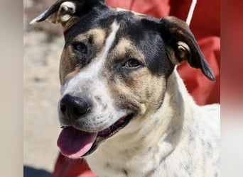 Antonella, sehr sozial, möchte gefallen, aufgeschlossen