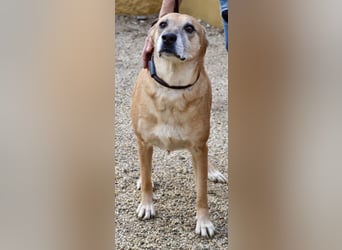 Hellen, sucht Altersruhesitz - NOTFALL -