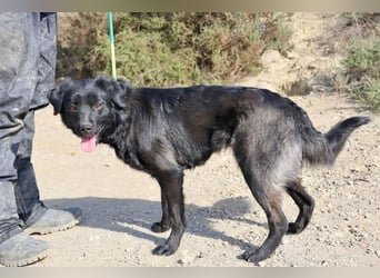 Sila, neugierig, freundlich, lernwillig