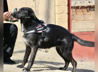 Gia - lässt sich gerne anfassen, freundlich und aufmerksam