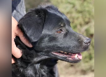 Sila, neugierig, freundlich, lernwillig