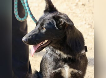 Gia - lässt sich gerne anfassen, freundlich und aufmerksam