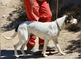 Antonella, sehr sozial, möchte gefallen, aufgeschlossen