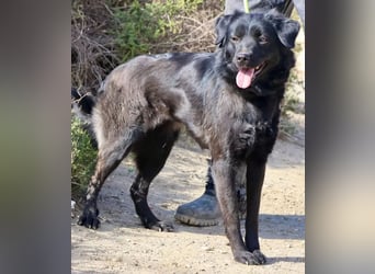 Sila, neugierig, freundlich, lernwillig